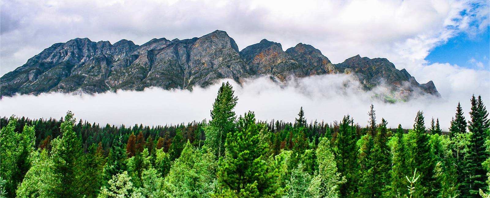 Zhejiang Zhongli Synthetic Materials Technology Co., Ltd.